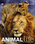 Animal Life : The definite visual guide to animals and their behaviour