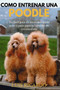 Como Entrenar Una Poodle : Tu facil guia de entrenamiento paso a paso para tu caniche en crecimiento