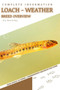 Loach - Weather : From Novice to Expert. Comprehensive Aquarium Fish Guide