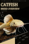 Catfish : From Novice to Expert. Comprehensive Aquarium Fish Guide