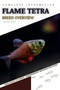 Flame Tetra : From Novice to Expert. Comprehensive Aquarium Fish Guide
