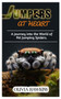 Jumpers at Heart : A journey into the World of Pet Jumping Spiders