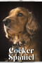 Cocker Spaniel : Dog breed overview and guide