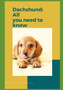 Dachshund : All you need to know!