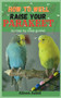How well To Raise Your Parakeet : A Step By Step Guide