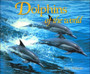 Dolphins of the World