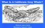 What Is A California Grey Whale?