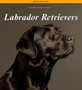 Labrador Retrievers : Barron's Breed Profiles