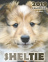 Sheltie 2019 Calendar (UK Edition)