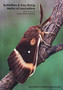 The Butterflies and Day-Flying Moths of Lancashire & North Merseyside