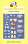 Seashore Life of the Caribbean