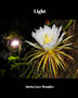 Light by Ineta Love Wonder - Paperback