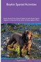 Boykin Spaniel Activities Boykin Spaniel Tricks, Games & Agility. Includes : Boykin Spaniel Beginner to Advanced Tricks, Series of Games, Agility and More