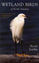 Wetland Birds of North America : A guide to observation, understanding and conservation