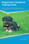 Bergamasco Shepherd Training Guide Bergamasco Shepherd Training Includes : Bergamasco Shepherd Tricks, Socializing, Housetraining, Agility, Obedience, Behavioral Training and More
