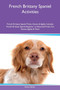 French Brittany Spaniel Activities French Brittany Spaniel Tricks, Games & Agility Includes : French Brittany Spaniel Beginner to Advanced Tricks, Fun Games, Agility & More