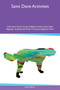Saint Dane Activities Saint Dane Tricks, Games & Agility Includes : Saint Dane Beginner to Advanced Tricks, Fun Games, Agility & More