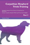 Carpathian Shepherd Tricks Training Carpathian Shepherd Tricks & Games Training Tracker & Workbook. Includes : Carpathian Shepherd Multi-Level Tricks, Games & Agility. Part 3