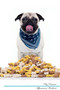 Pug Affirmations Workbook Pug Presents : Positive and Loving Affirmations Workbook. Includes: Mentoring Questions, Guidance, Supporting You.