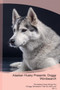 Alaskan Husky Presents : Doggy Wordsearch The Alaskan Husky Brings You A Doggy Wordsearch That You Will Love! Vol. 3