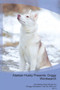 Alaskan Husky Presents : Doggy Wordsearch The Alaskan Husky Brings You A Doggy Wordsearch That You Will Love! Vol. 4