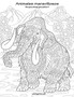 Animales maravillosos libro para colorear para adultos 4 : 4