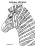 Animales africanos libro para colorear para adultos : 1