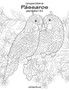 Livro para Colorir de Passaros para Adultos 1 & 2 : 12