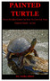 Painted Turtle : Every Detailed Guide On How To Care For Your Painted Turtle As Pet