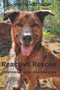 Reactive Rescue Understanding the Misunderstood