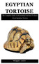 Egyptian Tortoise : The Complete Guide On Everything You Need To Know About Egyptian Tortoise