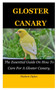 Gloster Canary : The Essential Guide On How To Care For A Gloster Canary.