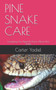 Pine Snake Care : Everything You Need To Know About Pine Snake.