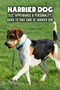 Harrier Dog : Size, Appearance & Personality, Guide To Take Care of Harrier Dog: Harrier Dog Encyclopedia