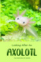 Looking After An Axolotl : Care Instructions for Axolotls