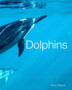 Dolphins : Facts and Photos About This Interesting and Unique Animal