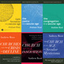 Ministry in a Secular Age Set
