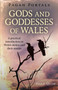 Pagan Portals - Gods and Goddesses of Wales : A practical introduction to Welsh deities and their stories