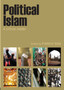 Political Islam : A Critical Reader