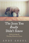 The Jesus You Really Didn't Know : Rediscovering the Teaching Ministry of Jesus