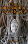 What the Buddha Never Taught : A 'behind the Robes" Account of Life in a Thai Forest Monastery
