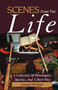 Scenes from the Life : A Collection of Monologues, Sketches, and a Short Play