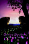 Seeking Simplicity : A Woman's Guide to a Balanced Life