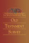 The New Interpreter's Bible : Old Testament Survey