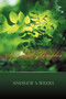 Spiritual Temples : Heavenly Experiences in the Houses of God