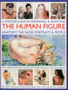 Masterclass in Drawing & Painting the Human Figure by Hoggett Sarah - Paperback