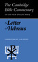 A Letter to Hebrews
