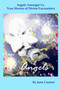 Angels Amongst Us - True stories of Divine Encounters