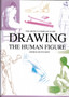 Drawing the Human Figure by Andras Szunyoghy - Hardback