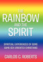 The Rainbow and the Spirit : Spiritual experiences of some same-sex oriented Christians